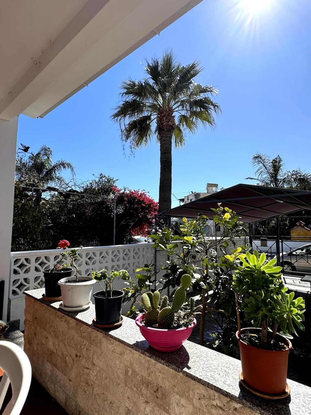 Seaside Serenity Villa Larnaca Buitenkant foto